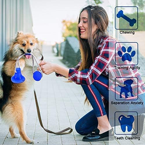 צעצוע ביס טוחן של Doggeez Pet Molar, משחק יניקה של צעצוע כלב משחק עצמי, צעצוע כדור לעיסת גומי עם חבל, צעצוע